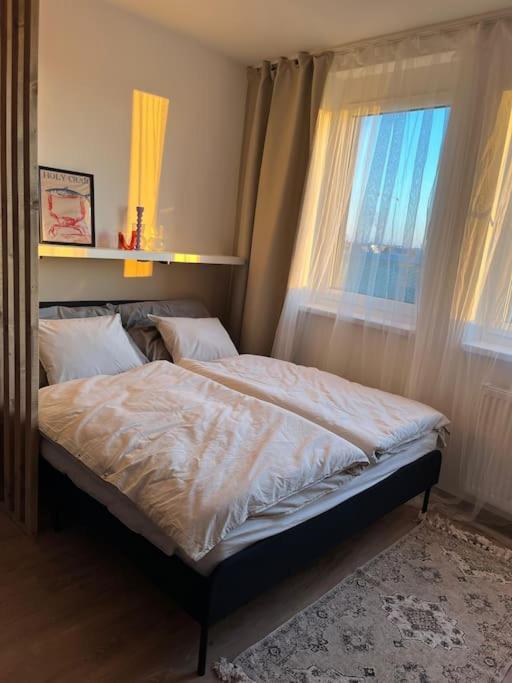Sofia Apartment *